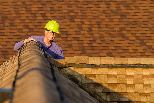 Best Storm Damage Roof Repair  in Laingsburg, MI