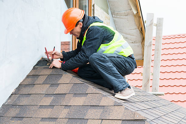 Best Sealant for Roof  in Laingsburg, MI