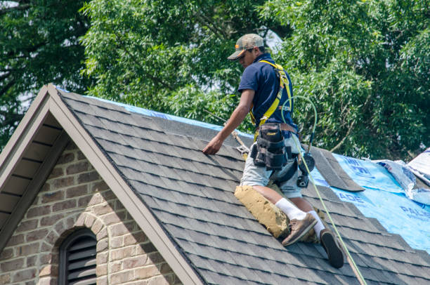 Best Roof Leak Repair  in Laingsburg, MI